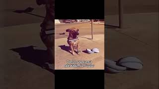 Derste Uyuyunca Gördüğümüz Rüyalar