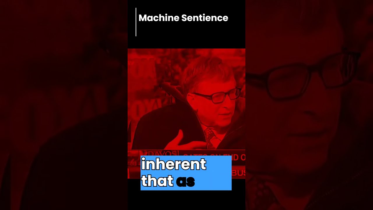 Machine Sentience