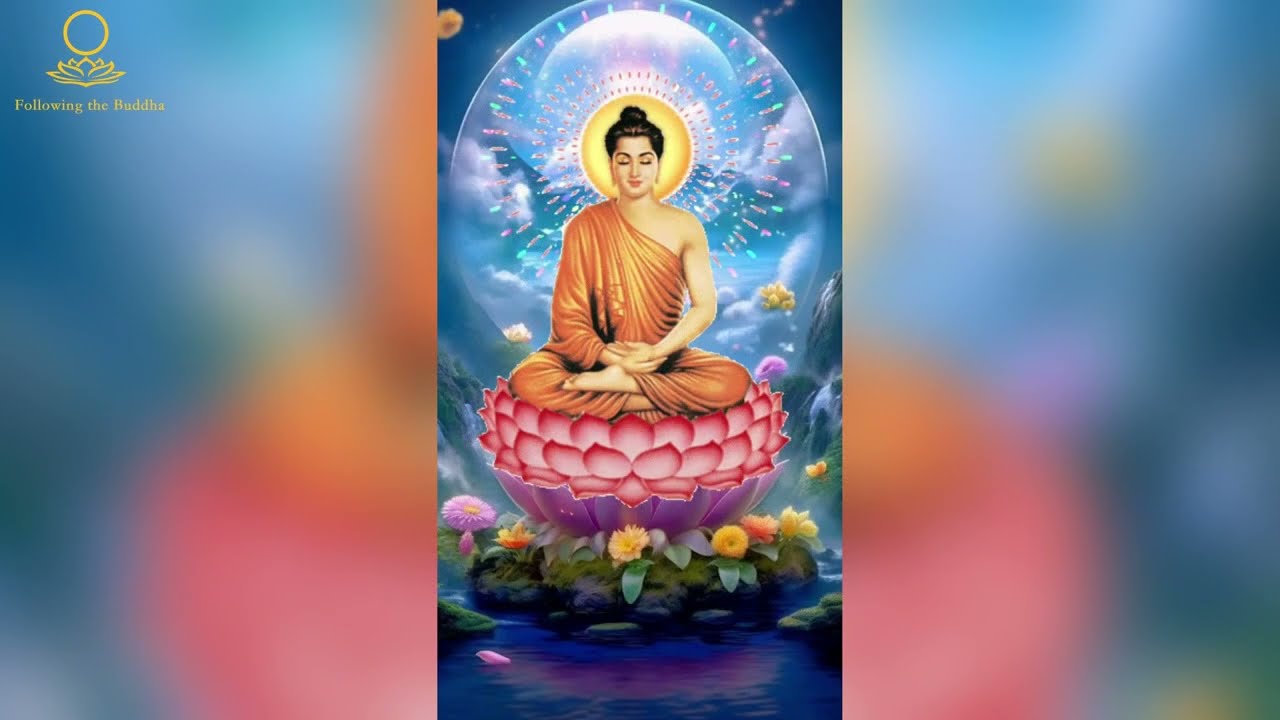 《同水异味，法雨同天》#佛法感悟   #禅意生活 #佛法人生