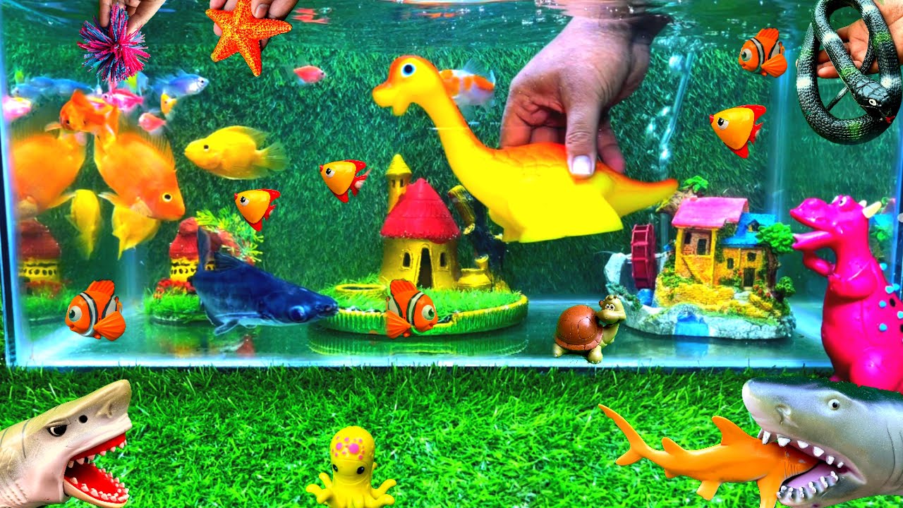 Dinosaurs Toys In Fish Tank, Blueline Shark, Dragon And Turtle, Snake