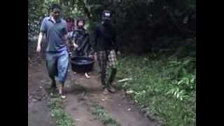 sukamade tour - meru betiri national park , indonesia