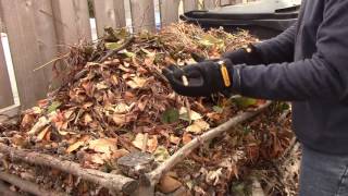 Free Fungally Dominated Compost & Mulch