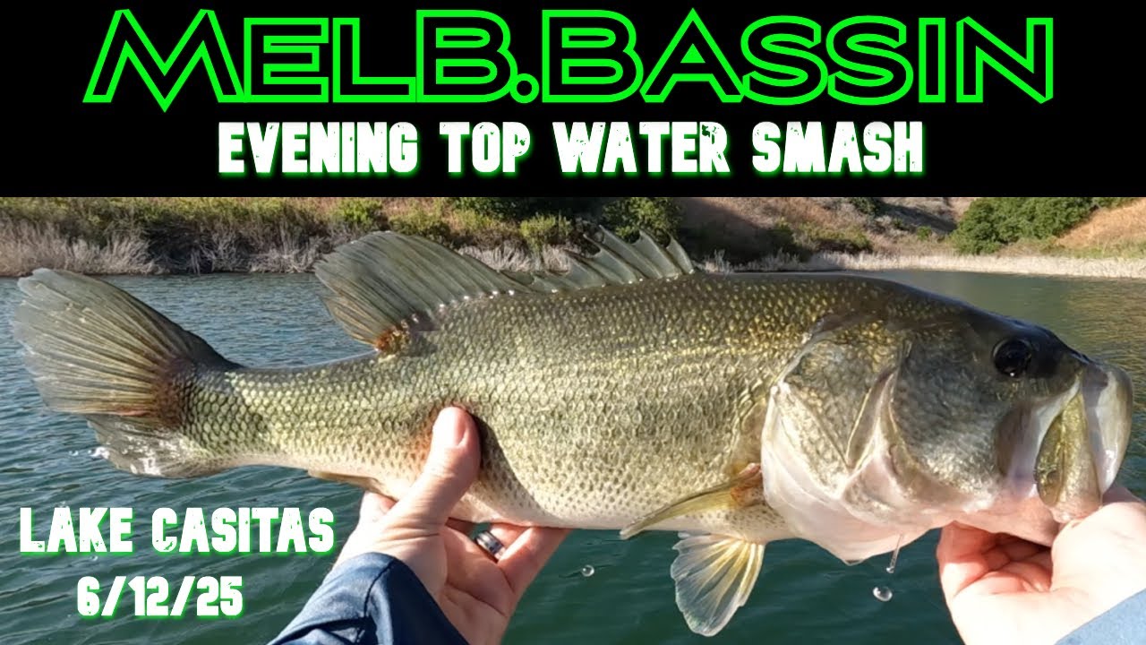 EVENING TOP WATER SMASH – LAKE CASITAS BASS FISHING