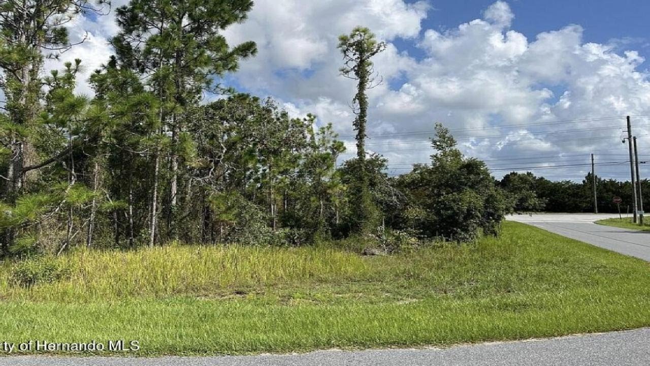 11345 Hexam Road, Weeki Wachee, FL Presented by Tina Fingerman.