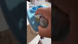 Minha Noite Dood Vibe S