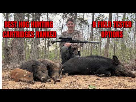 Best Hog Hunting Cartridges (Field Tested)
