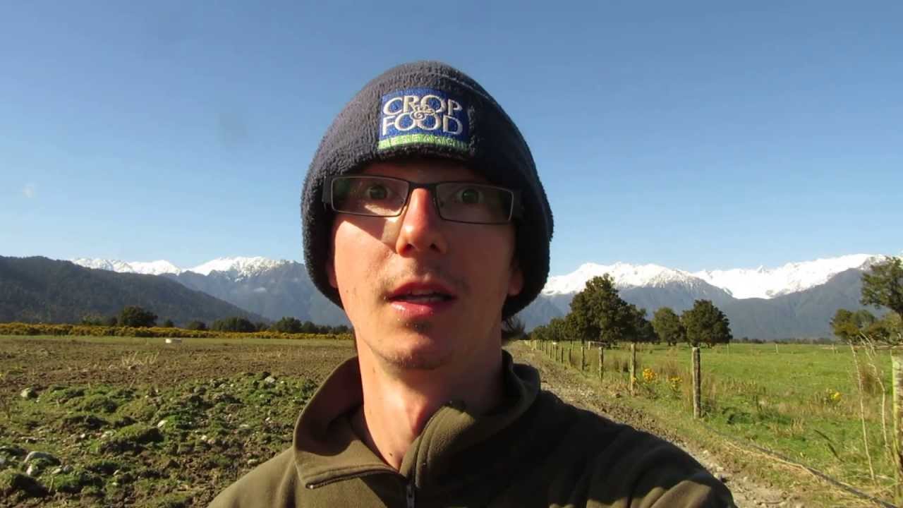 Farming in Franz Josef Best Job in the World? YouTube
