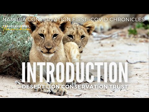 INTRODUCTORY EPISODE  - Desert Lion Conservation Trust