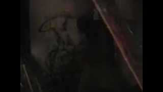 screepa first video