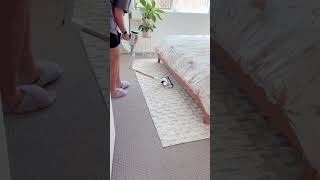 Shark Upright Vacuum,Navigator Lift-Away Deluxe with Large Dust Cup Capacity link in the description