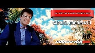 Video thumbnail of "Gabriel Dorobantu - Hai vino iar in gara noastra mica"