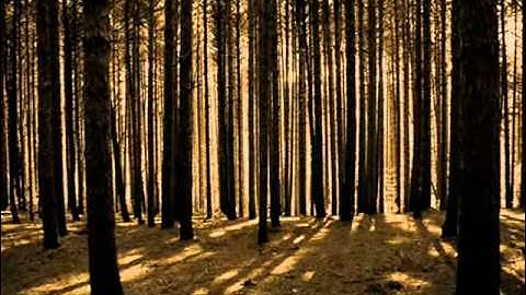 In Flames - Moonshield Music Video