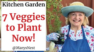 7 Best Vegetables You Can Plant in August for a Fall Garden - Plan Your Kitchen Garden NOW!