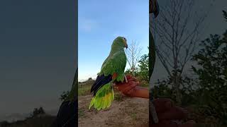 💞boa tarde ;vim pegar o ar, livre no terreno