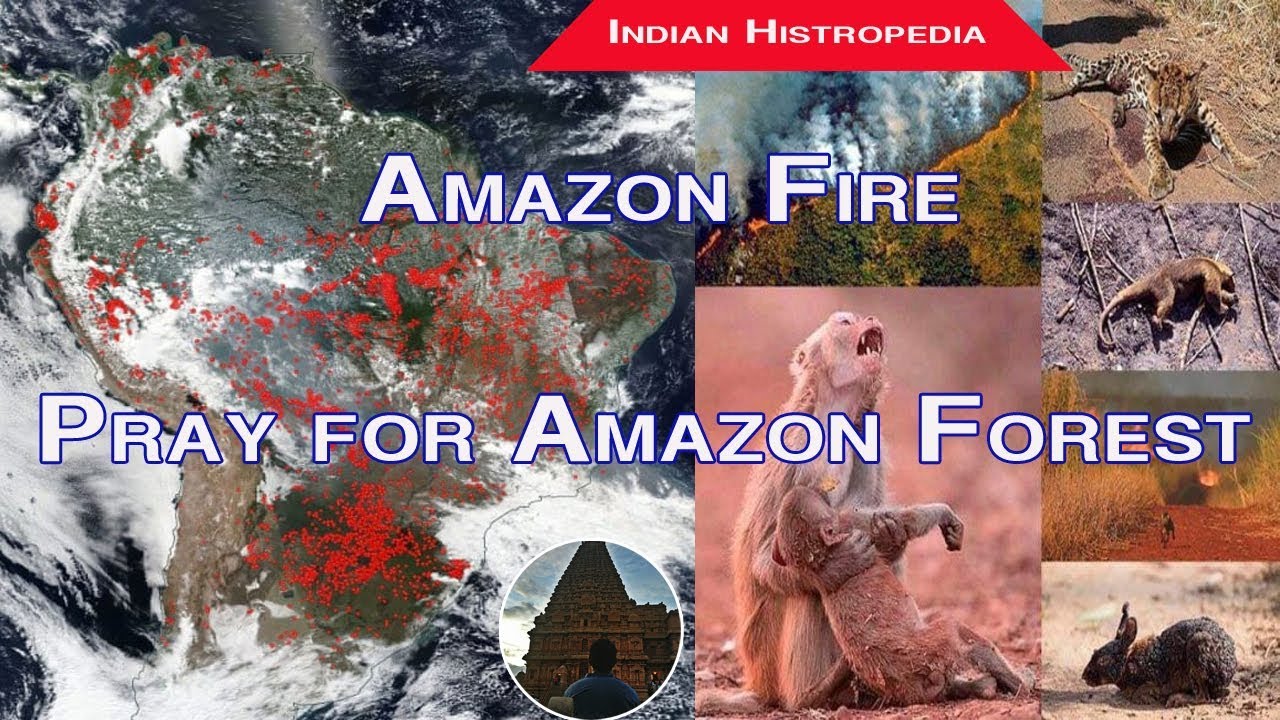 Amazon Forest Fire | Amazon rainforest fire | Amazon Fire Brazil | Tamil | Explained by Sivaraman
