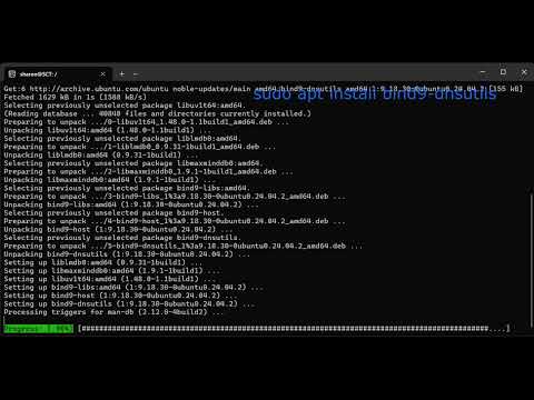 How to find the MX record for a domain nslookup