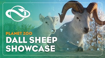 Planet Zoo | Dall Sheep Showcase