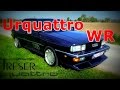 Audi Urquattro Treser im Sammlerzustand I ein Zustandsbericht Teil 1