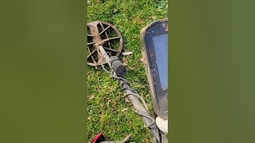 Minelab Manticore Metal Detecting - Metal Detecting Oregon and Beyond!