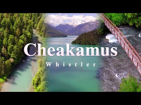 ONE OF WHISTLER'S