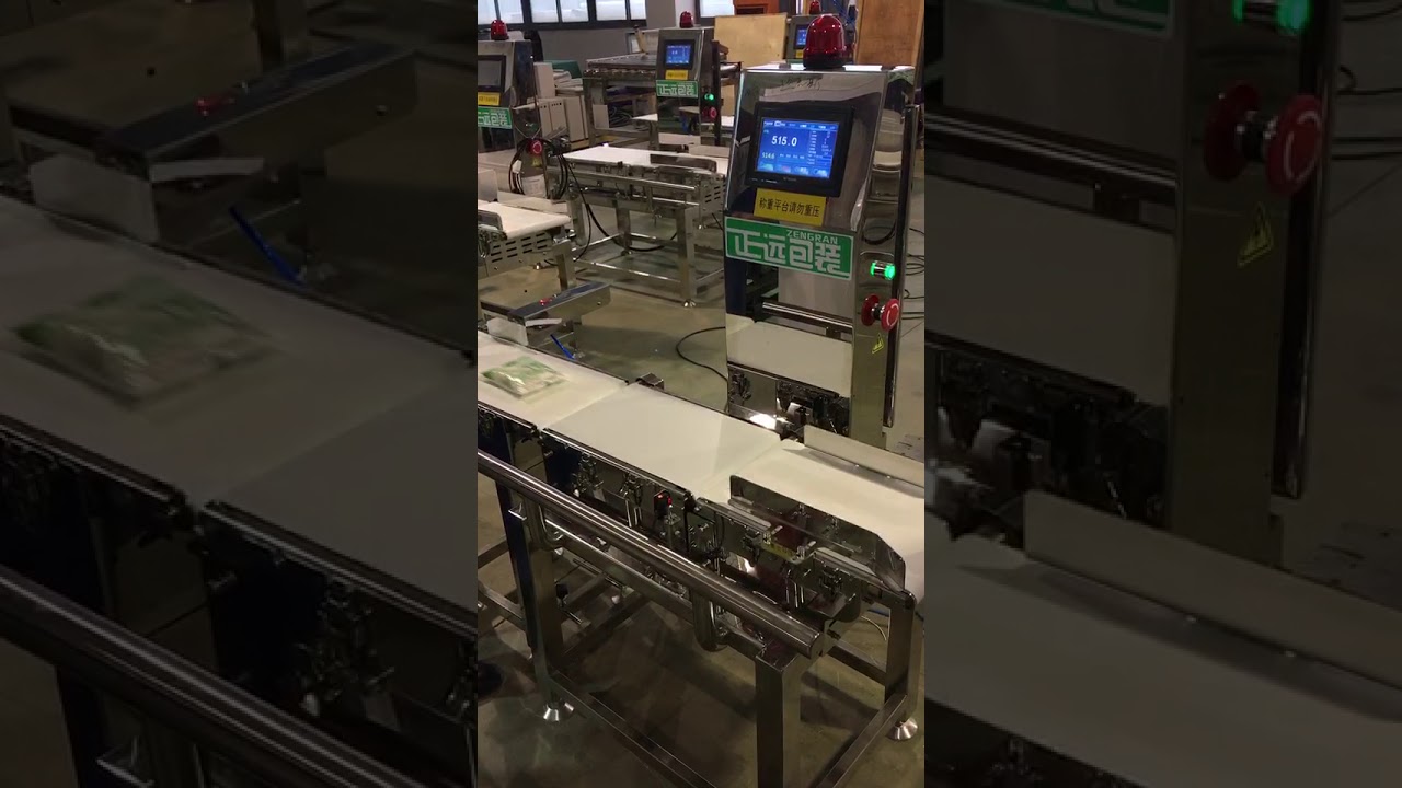 small bag automatic weight detecting machine, bag weight checking