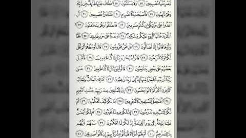 الشيخ احمد سعيد مندور (سورة القلم)