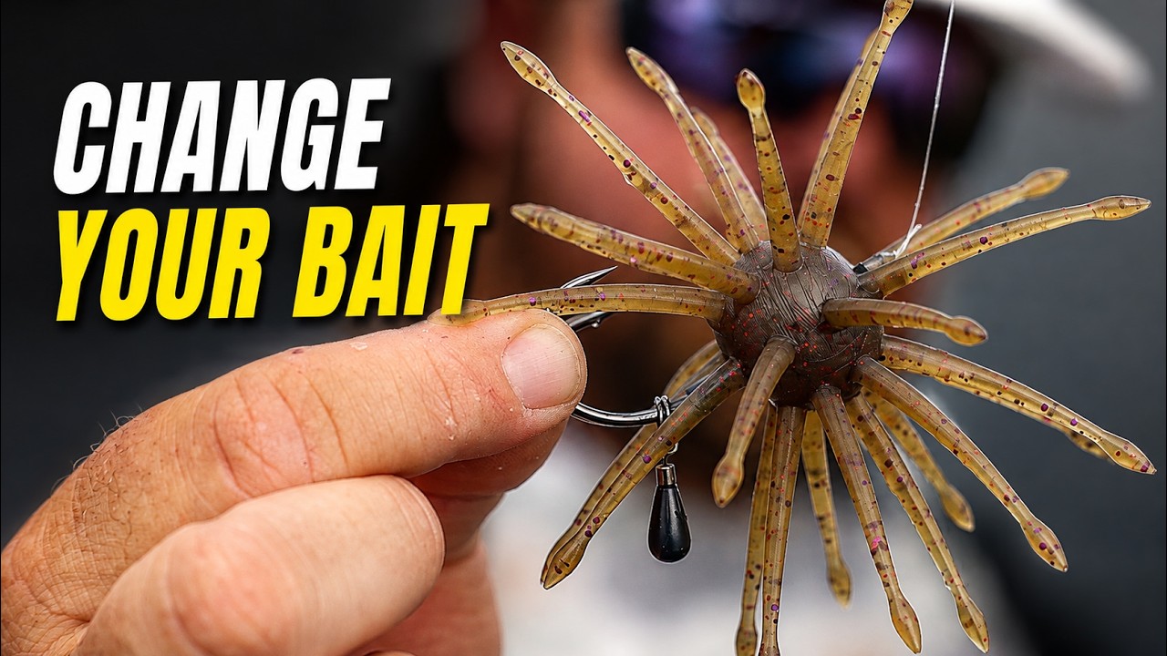 The Urchin Bite Is Getting PRESSURED… Here’s What Still Gets Bit