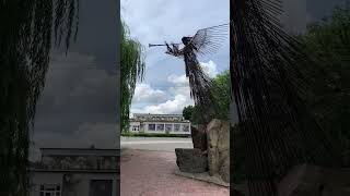 chnpp consequences