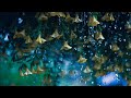 Theta Waves➤ Deep Relaxation, Sleep, Meditation, Stress Relief Music➤ Healing Biaural Beats Music