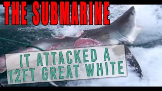 The Submarine  Part 7. When the Submarine bit a 12ft Great White Shark in half