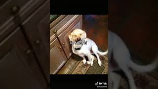 10 De Octubre De 2020