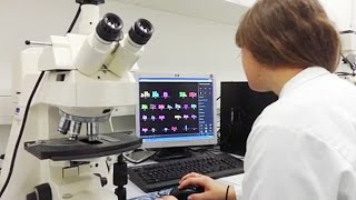 B.Sc. Humanbiologie (Biomedical Science)