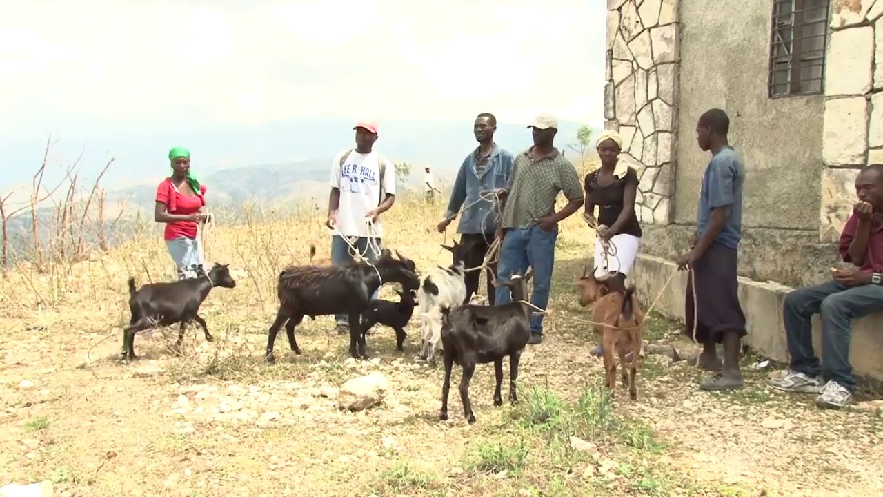 Donations reaching Haiti