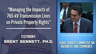 TPPFs Brent Bennett Testifies Before the Senate Business & Commerce Committee on 765-kV Lines
