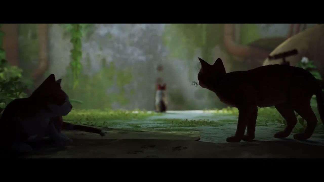 THE BIG KITTY GAME -  KONGATHON CONTINUES SOON -  VTuber Monkey Girl