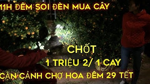 BAN ĐÊM TẠI CHỢ HOA BẮC NINH-11h ĐÊM SOI ĐÈN MUA HOA. CẬN CẢNH CHỢ HOA ĐÊM 29 TẾT TẠI BẮC NINH