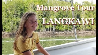Mangrove Tour - Kilim Karst Geoforest Park, LANGKAWI - Malaysia