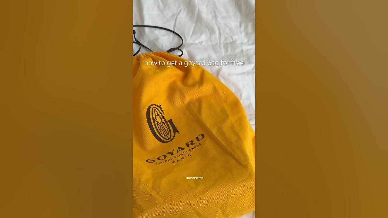 GOYARD Mini Anjou Black/Tan - UNBOXING ! 