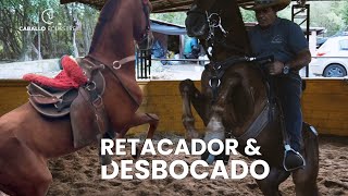 ❌ Caballo  retacador y peligroso  e3