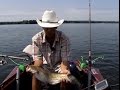 Техника Троллинга на водохранилище: ловим сома, судака. "О рыбалке Всерьез" видео 190.