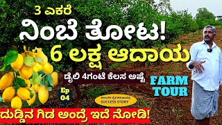 FARM TOUR-"ನಿಂಬೆ ಹಣ್ಣಿನಿಂದ 6 ಲಕ್ಷ ಸಂಪಾದನೆ! ಬರೀ 4ಗಂಟೆ ಕೆಲಸ ಅಷ್ಟೆ!"-E04-Sharanabasappa Kalburgi-#param