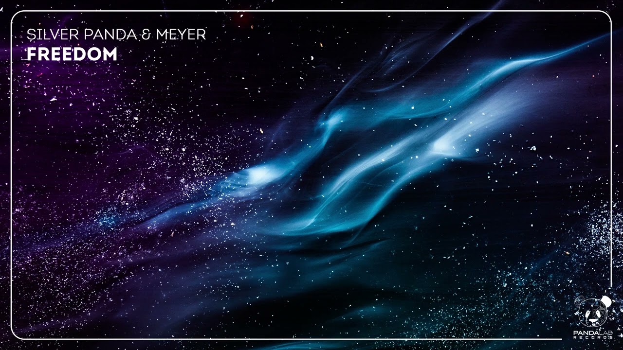 Guarda Silver Panda & Meyer - Freedom su YouTube Guarda Silver Panda & Meyer - Freedom su YouTube