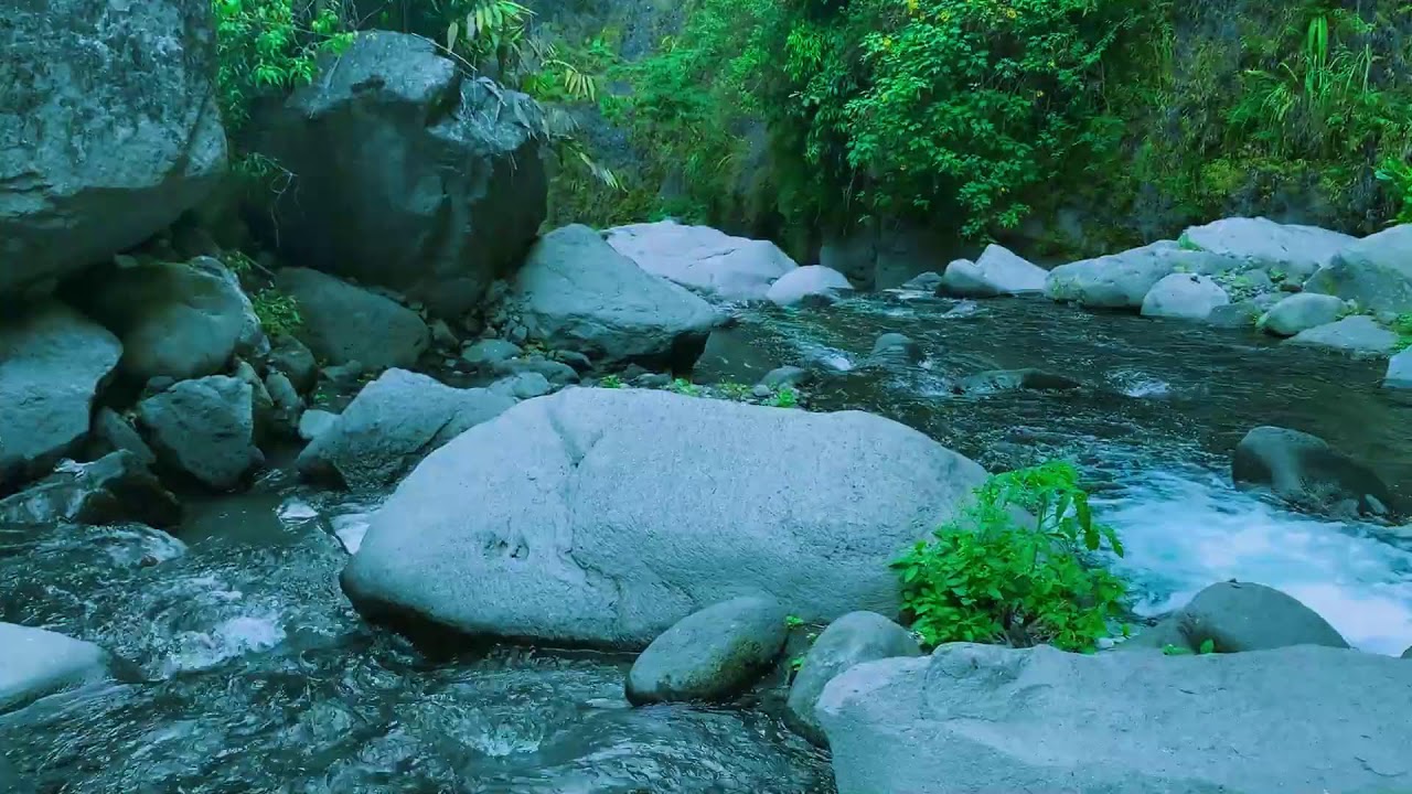 Tranquil Water Stream Background Noise | For Anxiety Relief, Recharging & Mental Focus