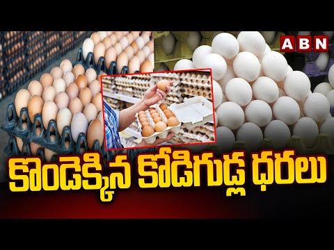 కొండెక్కిన కోడిగుడ్ల ధరలు | EGG RATES In Karim Nagar | Telangana | ABN Telugu - ABNTELUGUTV