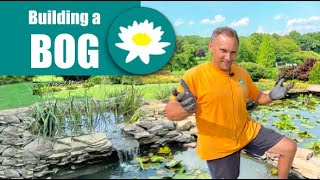 Building a BOG! | Creating a Natural Wetlands Solution on Backyard Double Pond!