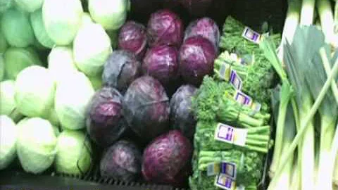 TED Talk by Dr. Terry Wahls - Minding Your Mitocho...
