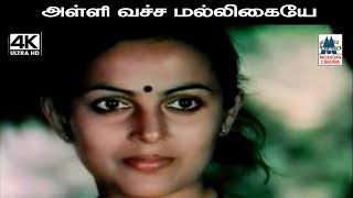 Alli Vacha Malligaiye Song 4k கிருஷ்ணசந்தர் P.சுசீலா பாடிய பாடல் அள்ளி வச்ச மல்லிகையே