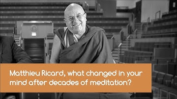 What Changed in My Mind After Decades of Meditation - Matthieu Ricard