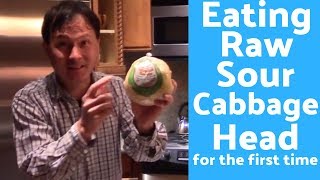 Eating a Fermented Sour Cabbage Head with Natural Probiotics