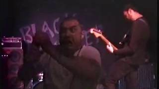 REEK MINDS - LIVE
